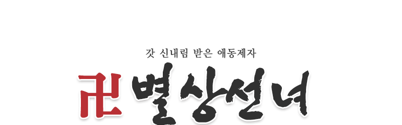 별상선녀_로고